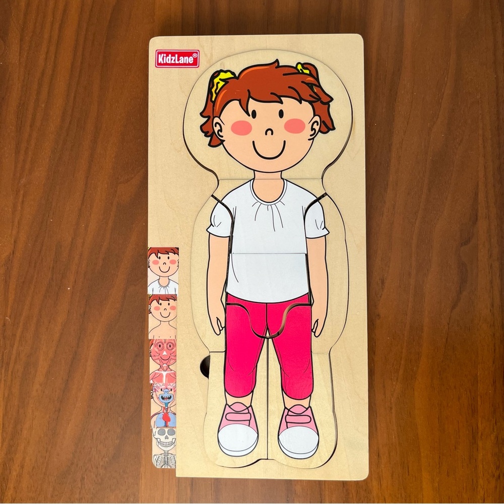 Kids Anatomy Wooden Puzzle Toy - Picture 3 of 7